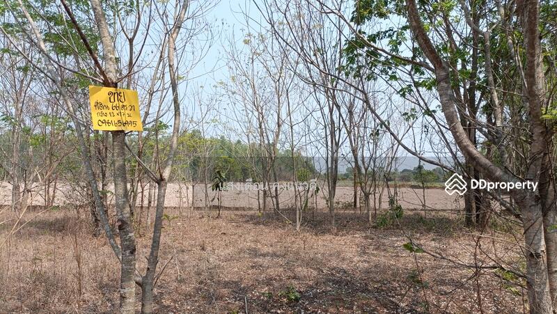 For Sale - Land 66sq.wah.MueangSakaeo, Thailand, Sa Kaeo