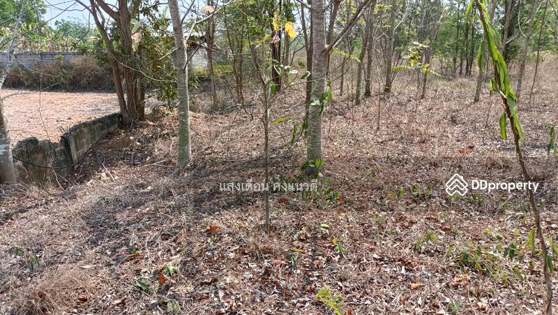ที่ดินถมแล้ว ถมเสมอถนน