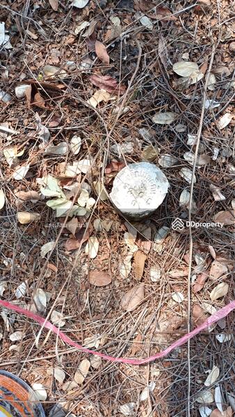 For Sale - Land 66sq.wah.MueangSakaeo, Thailand, Sa Kaeo