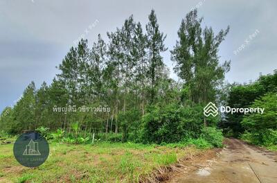 ขาย - ขายที่ดิน14ไร่ ซอยล็อก2 หนองละลอก ใกล้นิคมฯWHA หลังตลาดบอร์นทูบี, ระยอง