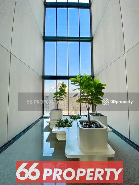 ASHTON Asoke, Bangkok, 131 Asoke Montri Road, Khlongtoei Nua, Watthana, Bangkok, 1 Bedroom, 34 sqm, Condo For Rent, by 66 PROPERTY-BKK, 10733584 - DDproperty.com
