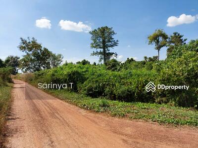 ขาย - ที่ดินกำแพงเพชร 11 ไร่เศษ, กำแพงเพชร