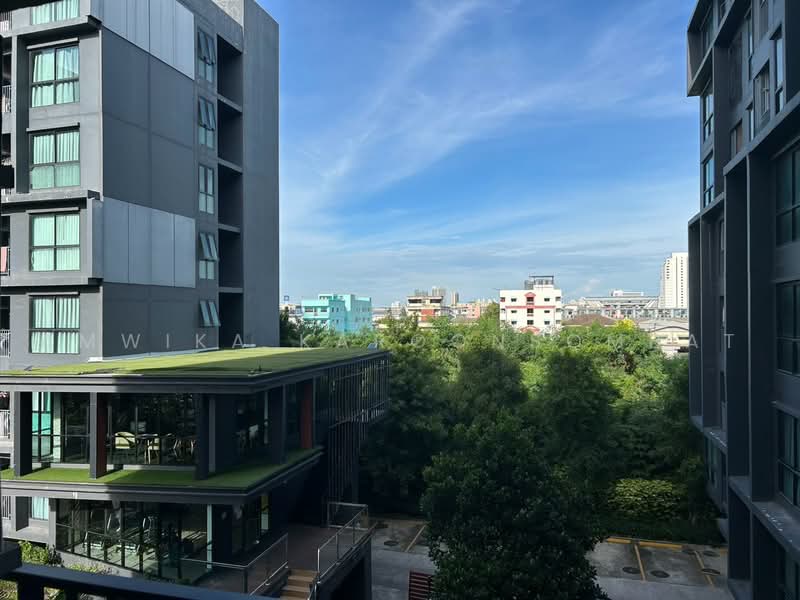 The Excel Groove Lasalle 52, Bangkok, Soi Sukhumvit 105 Lasalle Road, Bang Na, Bang Na, Bangkok, 1 Bedroom, 31 sqm, Condo For Rent, by Amwika Karoonsombat, 10734160 - DDproperty.com