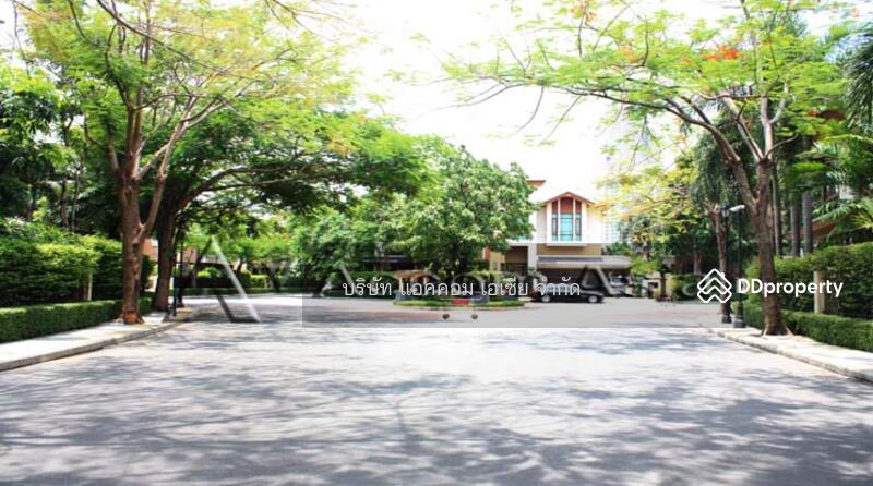 4 Bedrooms House for rent and sale in Sukhumvit, Bangkok, Phra Kanong, Khlong Toei, Bangkok, 4 Bedrooms, 394 sqm, Single Detached House For Rent, by บริษัท แอคคอม เอเซีย จำกัด, 10737012 - DDproperty.com