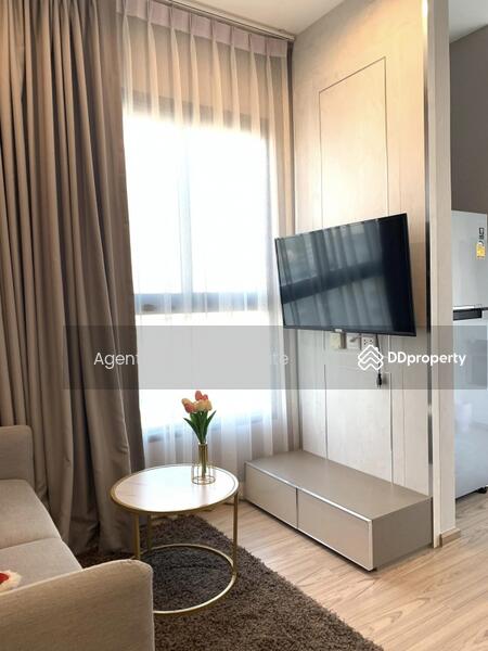 The Tree Hua Mak, Bangkok, Ramkhamhaeng Road, Hua Mak, Bang Kapi, Bangkok, 1 Bedroom, 26 sqm, Condo For Rent, by Agentbkk, 10740924 - DDproperty.com