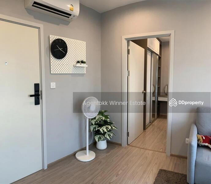 The Tree Hua Mak, Bangkok, Ramkhamhaeng Road, Hua Mak, Bang Kapi, Bangkok, 1 Bedroom, 26 sqm, Condo For Rent, by Agentbkk, 10740924 - DDproperty.com
