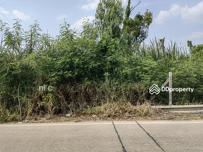 ขาย - ถนนรังสิต นครนายก, ปทุมธานี
