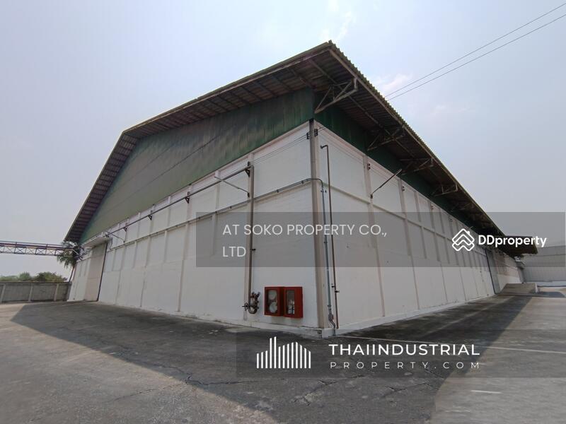 Warehouse 4092 sqm for RENT at Nong Samsak, Ban Bueng, Chon Buri/泰国仓库/工厂,出租/出售 (Property ID: AT822R), Chon Buri (Pattaya), Nong Samsak, Ban Bung, Chon Buri (Pattaya), , 4,092 sqm, Warehouse/Factory For Rent, by AT SOKO PROPERTY CO., LTD, 10747106 - DDproperty.com