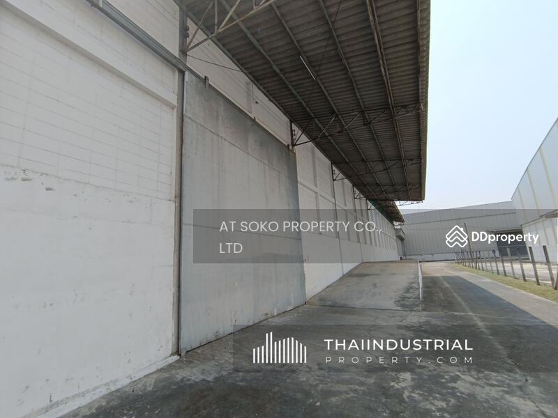 Warehouse 4092 sqm for RENT at Nong Samsak, Ban Bueng, Chon Buri/泰国仓库/工厂,出租/出售 (Property ID: AT822R), Chon Buri (Pattaya), Nong Samsak, Ban Bung, Chon Buri (Pattaya), , 4,092 sqm, Warehouse/Factory For Rent, by AT SOKO PROPERTY CO., LTD, 10747106 - DDproperty.com