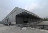 โกดังให้เช่า 17298 ตรม หนองซ้ำซาก, บ้านบึง, ชลบุรี/ 泰国仓库/工厂，出租/出售 (หมายเลขประกาศ: AT823R) - DDproperty.com
