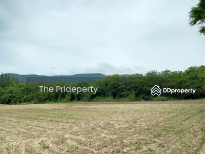 ขาย - ที่ดิน 5-2-40 ไร่ เขาใหญ่ ใกล้ Toscana, นครราชสีมา