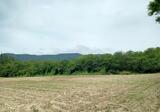 ที่ดิน 5-2-40 ไร่ เขาใหญ่ ใกล้ Toscana - DDproperty.com