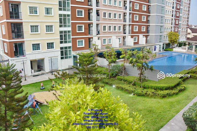 Tulip Square Condo : ทิวลิป สแควร์ คอนโด, สมุทรสาคร, 219-235 เพชรเกษม, อ้อมน้อย, กระทุ่มแบน, สมุทรสาคร, 42 ตร.ม., คอนโด ให้เช่า, โดย อรุณ อเนกคุณะ, 10750555 - DDproperty.com
