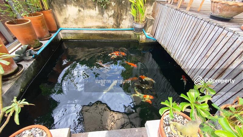 บ้านเดี่ยว สีกัน ดอนเมือง กรุงเทพมหานคร, bangkok, Si Khan, Don Mueang, Bangkok, 2 Bedrooms, 100 sqm, Single Detached House For Sale, by ภคภพ แก้วเกตุ, 10750867 - DDproperty.com