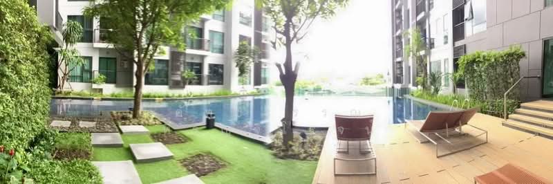 Rhythm Sukhumvit 36-38, Bangkok, 55 Soi Sukhumvit 36, Sukhumvit Road, Phra Kanong, Khlong Toei, Bangkok, 2 Bedrooms, 56 sqm, Condo For Rent, by คัทยวรรณ หิรัญจิโรจน์, 10752249 - DDproperty.com