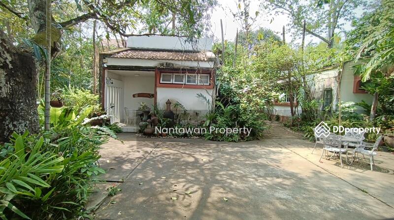 A rare unique house with lots of TREEs in Jed Yod area, Chiang Mai, Chiang Mai, Chang Phuak, Muang Chiang Mai, Chiang Mai, 4 Bedrooms, 200 sqm, Single Detached House For Sale, by Nantawan Rattanapong, 10752885 - DDproperty.com