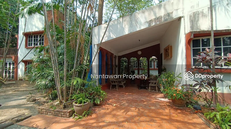 A rare unique house with lots of TREEs in Jed Yod area, Chiang Mai, Chiang Mai, Chang Phuak, Muang Chiang Mai, Chiang Mai, 4 Bedrooms, 200 sqm, Single Detached House For Sale, by Nantawan Rattanapong, 10752885 - DDproperty.com