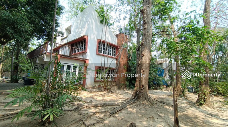 ขายบ้านน้อยในป่าใหญ่กลางเมืองเชียงใหม่ โซนเจ็ดยอด, เชียงใหม่, ช้างเผือก, เมืองเชียงใหม่, เชียงใหม่, 200 ตร.ม., บ้านเดี่ยว ขาย, โดย Nantawan Rattanapong, 10752885 - DDproperty.com