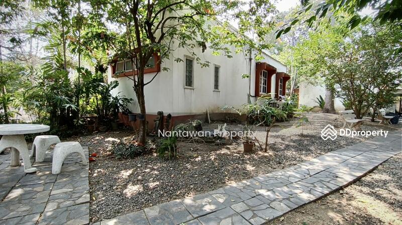 ขายบ้านน้อยในป่าใหญ่กลางเมืองเชียงใหม่ โซนเจ็ดยอด, เชียงใหม่, ช้างเผือก, เมืองเชียงใหม่, เชียงใหม่, 200 ตร.ม., บ้านเดี่ยว ขาย, โดย Nantawan Rattanapong, 10752885 - DDproperty.com