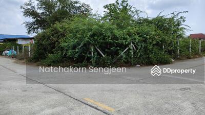 ขาย - ขายที่ดิน 2 ไร่ 101 ตารางวา ถนนเพชรเกษม ต.เขาน้อย อ.ปราณบุรี จ.ประจวบคีรีขันธ์, ประจวบคีรีขันธ์