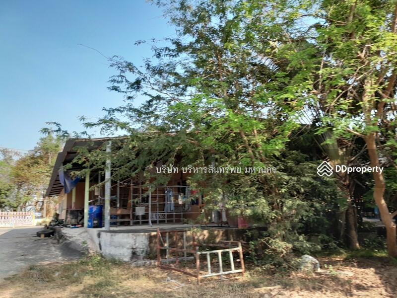 For Sale - Warehouse in Roied, Roi Et