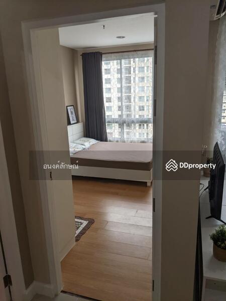 @City Condominium, Bangkok, 169 Sukhumvit Road, Bang Chak, Phra Khanong, Bangkok, 1 Bedroom, 36 sqm, Condo For Rent, by อนงค์ลักษณ์ ทรงประโคน, 10755396 - DDproperty.com