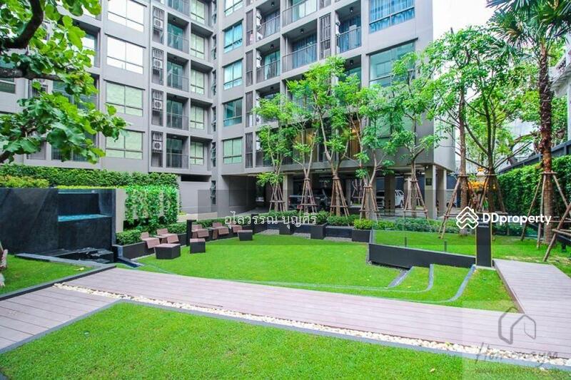 ขาย - The Tree Sukhumvit 64 : เดอะทรี สุขุมวิท 64, กรุงเทพ