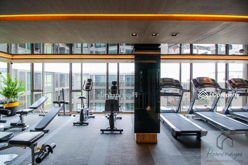 ขาย - The Tree Sukhumvit 64 : เดอะทรี สุขุมวิท 64, กรุงเทพ