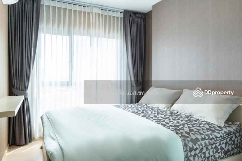 The Tree Sukhumvit 71-Ekamai, Bangkok, 1269 Sukhumvit 71 Road, Suan Luang, Suan Luang, Bangkok, 1 Bedroom, 31 sqm, Condo For Sale, by Parichat Juwpanit, 10758020 - DDproperty.com