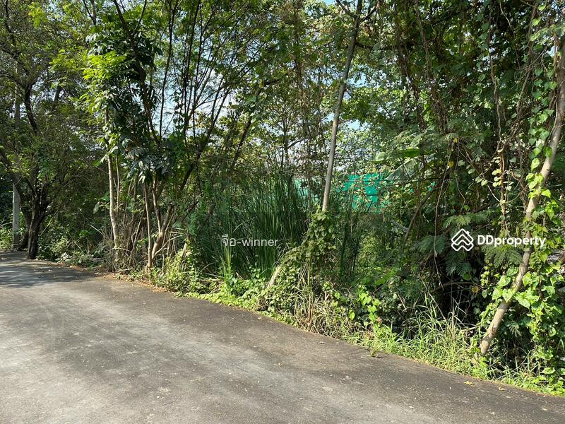 ขาย - บางเชือกหนัง, กรุงเทพ