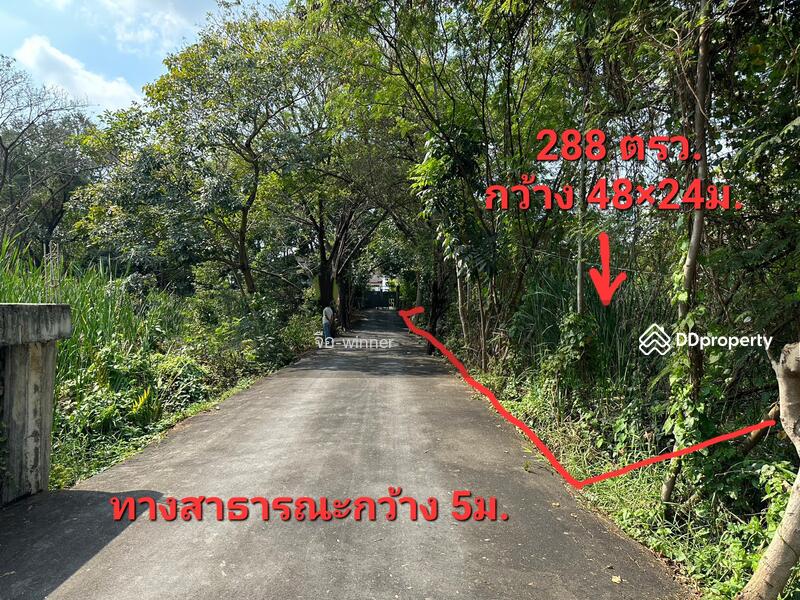 ขาย - บางเชือกหนัง, กรุงเทพ