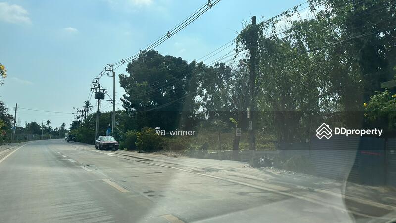 ขาย - บางเชือกหนัง, กรุงเทพ