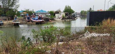 ขาย - ที่ดินติดคลองนาจอมเทียนข้างคอนโดThe Whale 7-2-13 ไร่สามารถจอดเรือที่จะออกทะเลตรงหาดทรายทองขายไร่ละ45, ชลบุรี