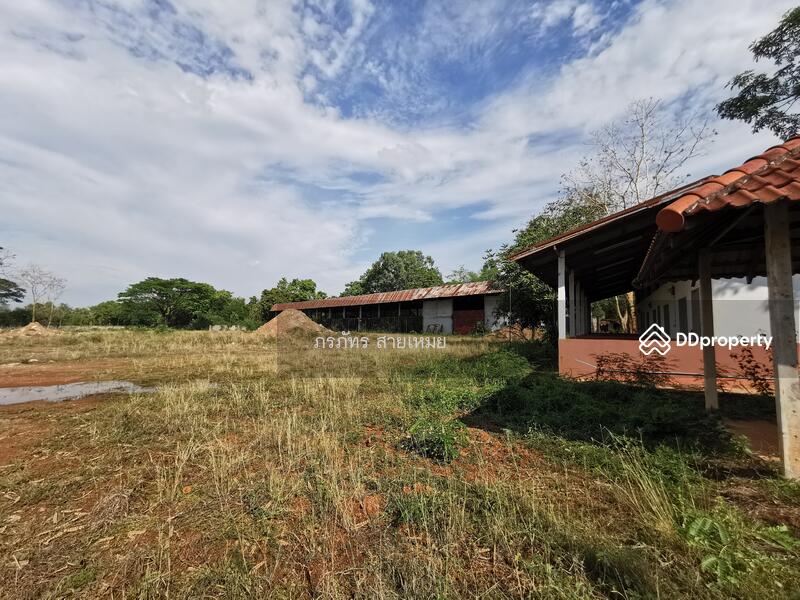 ที่ดิน 83 ไร่, Sakon Nakhon, Dong Ma Fai, Muang Sakon Nakhon, Sakon Nakhon, , 132,976 sqm, Land For Sale, by ผึ้ง ภรภัทร, 10762830 - DDproperty.com