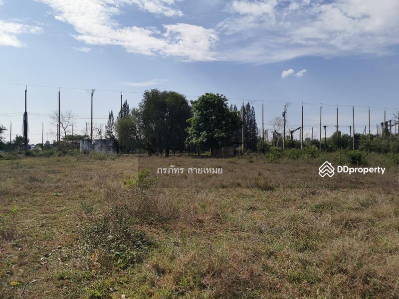 ที่ดิน 83 ไร่, Sakon Nakhon, Dong Ma Fai, Muang Sakon Nakhon, Sakon Nakhon, , 132,976 sqm, Land For Sale, by ผึ้ง ภรภัทร, 10762830 - DDproperty.com