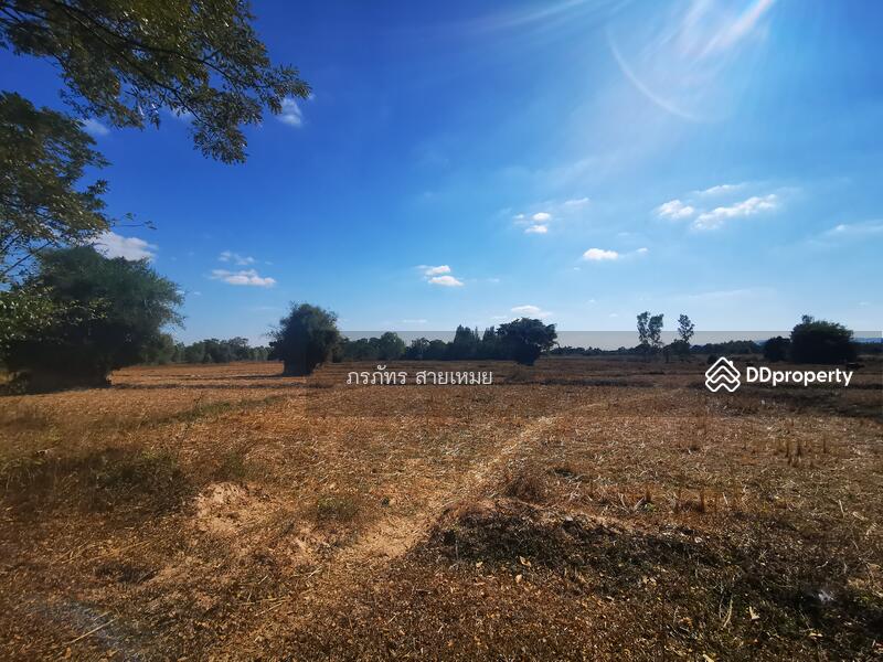 ที่ดิน 83 ไร่, Sakon Nakhon, Dong Ma Fai, Muang Sakon Nakhon, Sakon Nakhon, , 132,976 sqm, Land For Sale, by ผึ้ง ภรภัทร, 10762830 - DDproperty.com