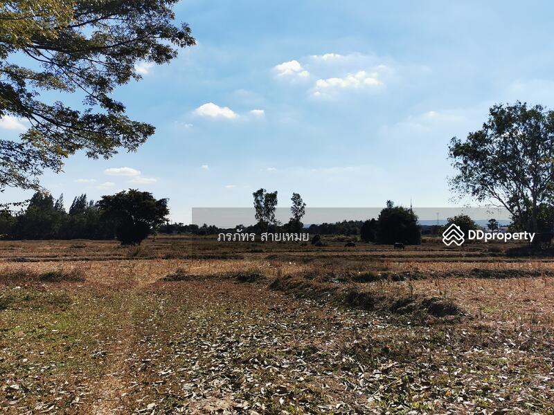 ที่ดิน 83 ไร่, Sakon Nakhon, Dong Ma Fai, Muang Sakon Nakhon, Sakon Nakhon, , 132,976 sqm, Land For Sale, by ผึ้ง ภรภัทร, 10762830 - DDproperty.com