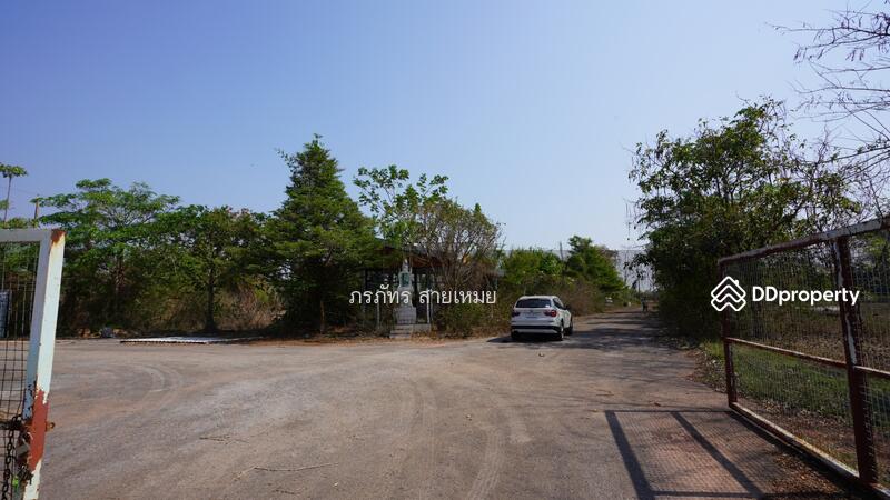 ที่ดิน 83 ไร่, Sakon Nakhon, Dong Ma Fai, Muang Sakon Nakhon, Sakon Nakhon, , 132,976 sqm, Land For Sale, by ผึ้ง ภรภัทร, 10762830 - DDproperty.com