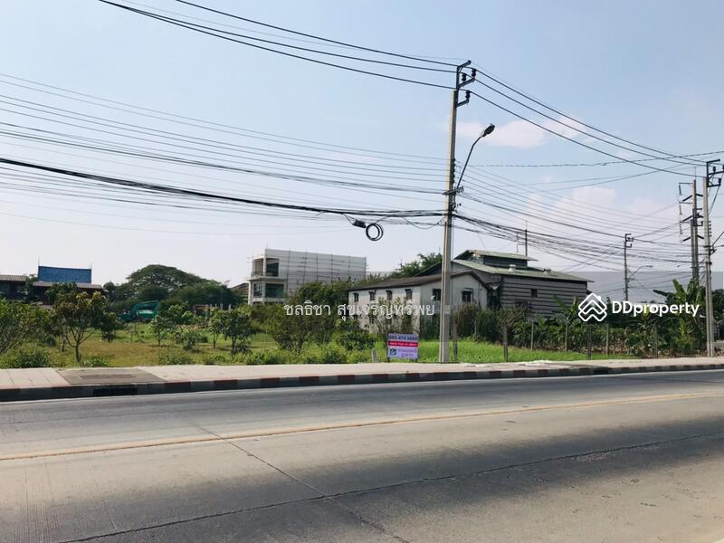 ขาย ที่ดิน บางแวก ขาย ที่ดิน พุทธมณฑล สาย 2 ขาย ที่ดิน บางแค ขาย ที่ดิน บางไผ่ CTT LAND