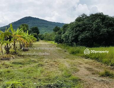 ขาย - ขายที่ดินเขาใหญ่ วังไทร 52 ไร่ ใกล้ภูพระบาท,วังไทรฮิลล์,ลาแปงฮิลล์พูลวิลล่า, นครราชสีมา