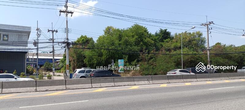 ให้เช่าที่ดิน 3ไร่ 50วา ติดถนนชลบุรี-บ้านบึง เส้น 344 หน้ากว้าง 78เมตร, ชลบุรี, แปลงมุม ชลบุรี-บ้านบึง344, หนองซ้ำซาก, บ้านบึง, ชลบุรี, 1,250 ตร.ม., ที่ดิน ให้เช่า, โดย แสงเดือน คงแนวดี, 10765304 - ด้านหน้าที่ดิน ติดถนนหลัก344 - DDproperty.com