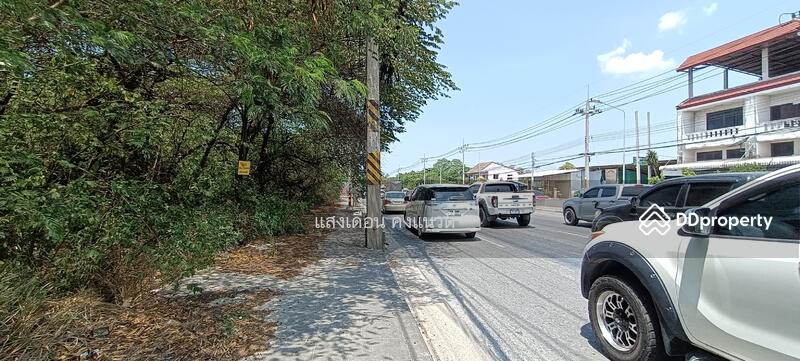 ให้เช่าที่ดิน 3ไร่ 50วา ติดถนนชลบุรี-บ้านบึง เส้น 344 หน้ากว้าง 78เมตร, ชลบุรี, แปลงมุม ชลบุรี-บ้านบึง344, หนองซ้ำซาก, บ้านบึง, ชลบุรี, 1,250 ตร.ม., ที่ดิน ให้เช่า, โดย แสงเดือน คงแนวดี, 10765304 - DDproperty.com