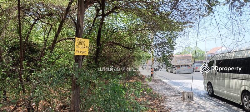 ให้เช่าที่ดิน 3ไร่ 50วา ติดถนนชลบุรี-บ้านบึง เส้น 344 หน้ากว้าง 78เมตร, ชลบุรี, แปลงมุม ชลบุรี-บ้านบึง344, หนองซ้ำซาก, บ้านบึง, ชลบุรี, 1,250 ตร.ม., ที่ดิน ให้เช่า, โดย แสงเดือน คงแนวดี, 10765304 - DDproperty.com