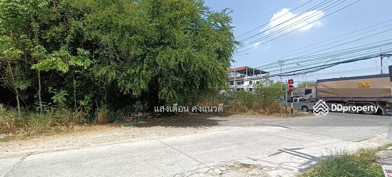 Land 3rai for rent, Chonburi Banbueng Road,Thailand, Chon Buri (Pattaya), แปลงมุม ชลบุรี-บ้านบึง344, Nong Samsak, Ban Bung, Chon Buri (Pattaya), , 1,250 sqm, Land For Rent, by แสงเดือน คงแนวดี, 10765304 - ติดถนน2ด้าน - DDproperty.com