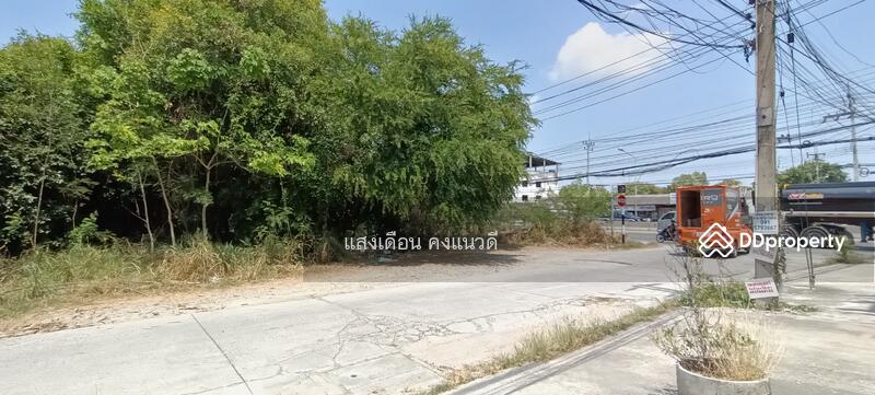 ให้เช่าที่ดิน 3ไร่ 50วา ติดถนนชลบุรี-บ้านบึง เส้น 344 หน้ากว้าง 78เมตร, ชลบุรี, แปลงมุม ชลบุรี-บ้านบึง344, หนองซ้ำซาก, บ้านบึง, ชลบุรี, 1,250 ตร.ม., ที่ดิน ให้เช่า, โดย แสงเดือน คงแนวดี, 10765304 - ด้านข้างที่ดินติดถนนซอย - DDproperty.com
