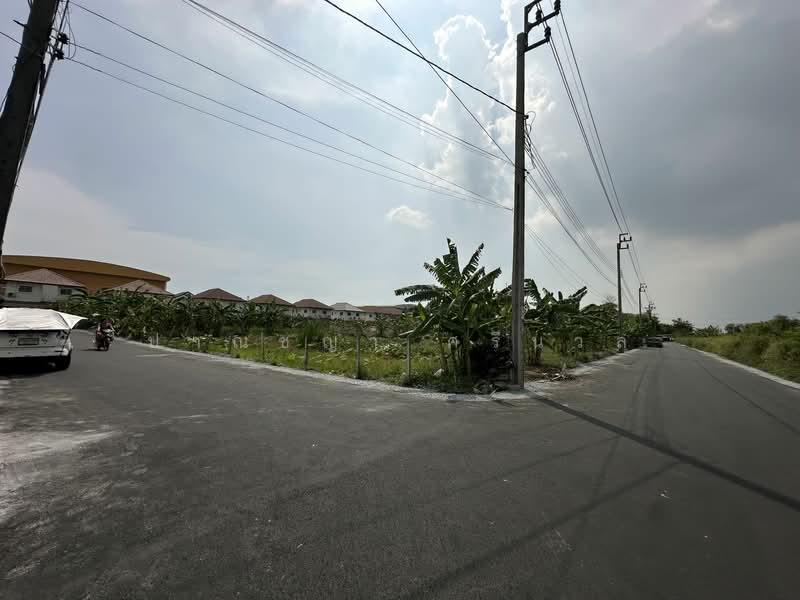 ขายที่ดิน 2 ไร่ ถนนพัฒนาชนบท3 เขตลาดกระบัง ใกล้สนามบินสุวรรณภูมิ, กรุงเทพ, คลองสองต้นนุ่น, ลาดกระบัง, กรุงเทพ, 3,200 ตร.ม., ที่ดิน ขาย, โดย ปาณชญา ศรีนวล, 10767042 - DDproperty.com