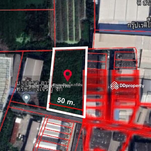 ขายที่ดิน แคราย กระทุ่มแบน สมุทรสาคร, สมุทรสาคร, แคราย, แคราย, กระทุ่มแบน, สมุทรสาคร, 3,968 ตร.ม., ที่ดิน ขาย, โดย ชลธิชา สุขเจริญทรัพย์, 10767153 - ขายที่ดินแคราย กระทุ่มแบน สมุทรสาคร ขายที่ดินสวนหลวง กระทุ่มแบน สมุทรสาคร CTT LAND - DDproperty.com