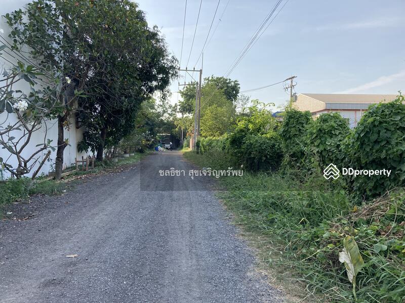 ขายที่ดิน แคราย กระทุ่มแบน สมุทรสาคร, สมุทรสาคร, แคราย, แคราย, กระทุ่มแบน, สมุทรสาคร, 3,968 ตร.ม., ที่ดิน ขาย, โดย ชลธิชา สุขเจริญทรัพย์, 10767153 - ขายที่ดินแคราย กระทุ่มแบน สมุทรสาคร ขายที่ดินสวนหลวง กระทุ่มแบน สมุทรสาคร CTT LAND - DDproperty.com