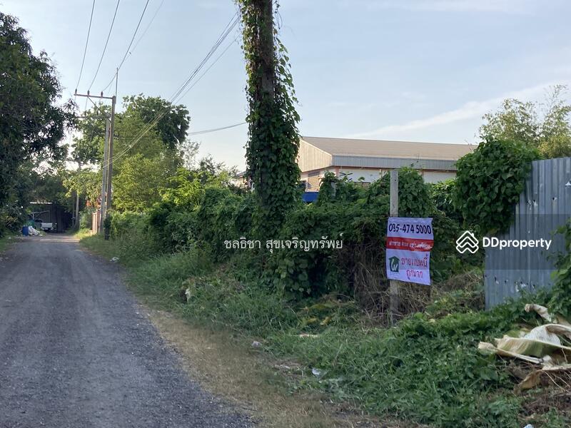 ขายที่ดิน แคราย กระทุ่มแบน สมุทรสาคร, สมุทรสาคร, แคราย, แคราย, กระทุ่มแบน, สมุทรสาคร, 3,968 ตร.ม., ที่ดิน ขาย, โดย ชลธิชา สุขเจริญทรัพย์, 10767153 - ขายที่ดินแคราย กระทุ่มแบน สมุทรสาคร ขายที่ดินสวนหลวง กระทุ่มแบน สมุทรสาคร CTT LAND - DDproperty.com