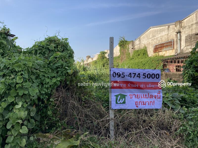 ขายที่ดิน แคราย กระทุ่มแบน สมุทรสาคร, สมุทรสาคร, แคราย, แคราย, กระทุ่มแบน, สมุทรสาคร, 3,968 ตร.ม., ที่ดิน ขาย, โดย ชลธิชา สุขเจริญทรัพย์, 10767153 - ขายที่ดินแคราย กระทุ่มแบน สมุทรสาคร ขายที่ดินสวนหลวง กระทุ่มแบน สมุทรสาคร CTT LAND - DDproperty.com